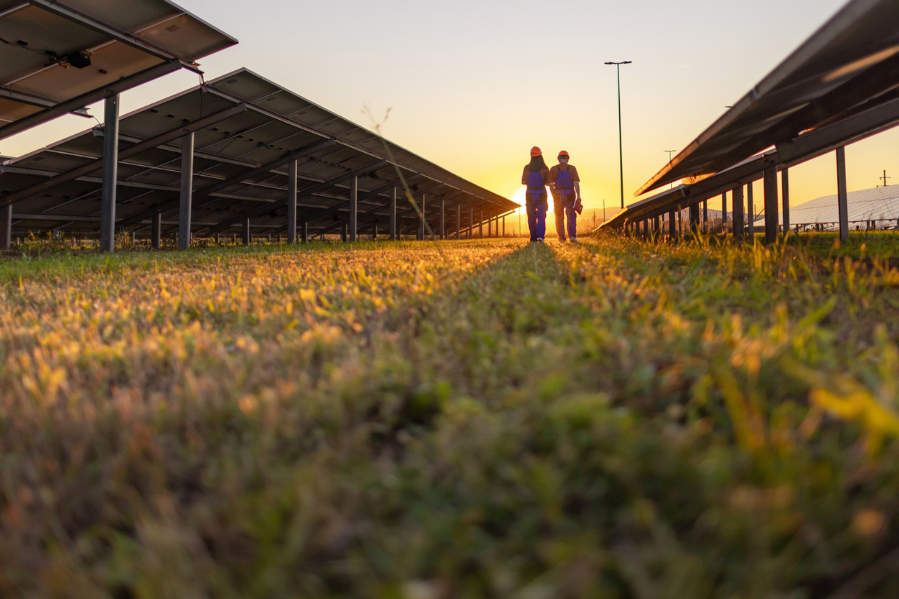 photo de deux personnes marchant entre des panneaux solaires. Photo prise au coucher de soleil. Expertise codyssée dans le secteur de l'energie