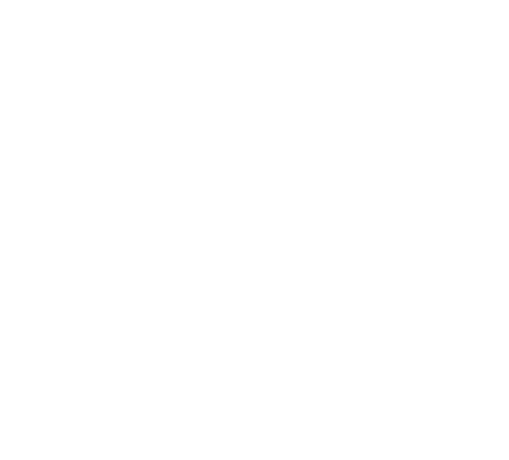 logo de l'entreprise viparis
