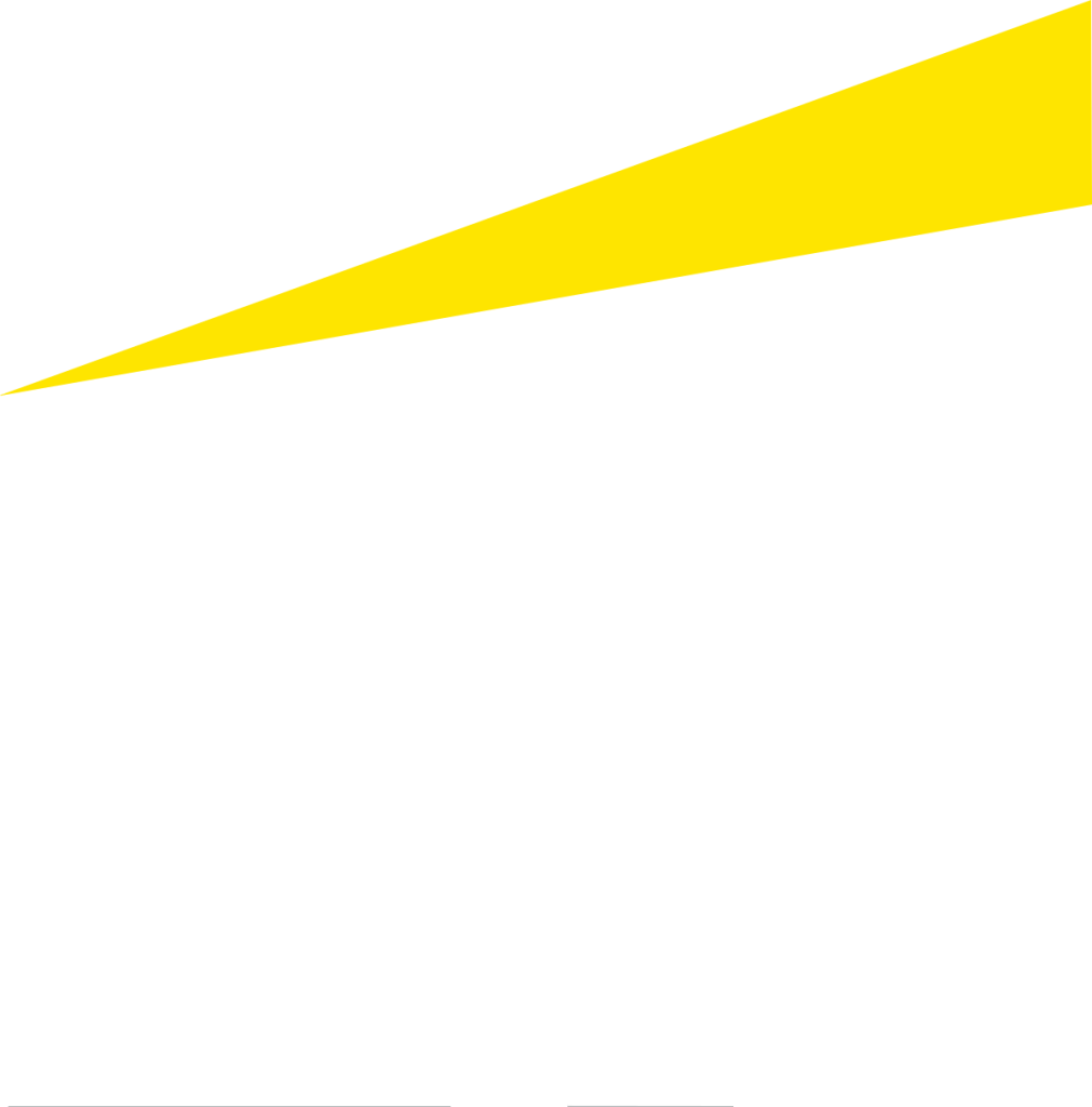 logo blanc de l'entreprise EY
