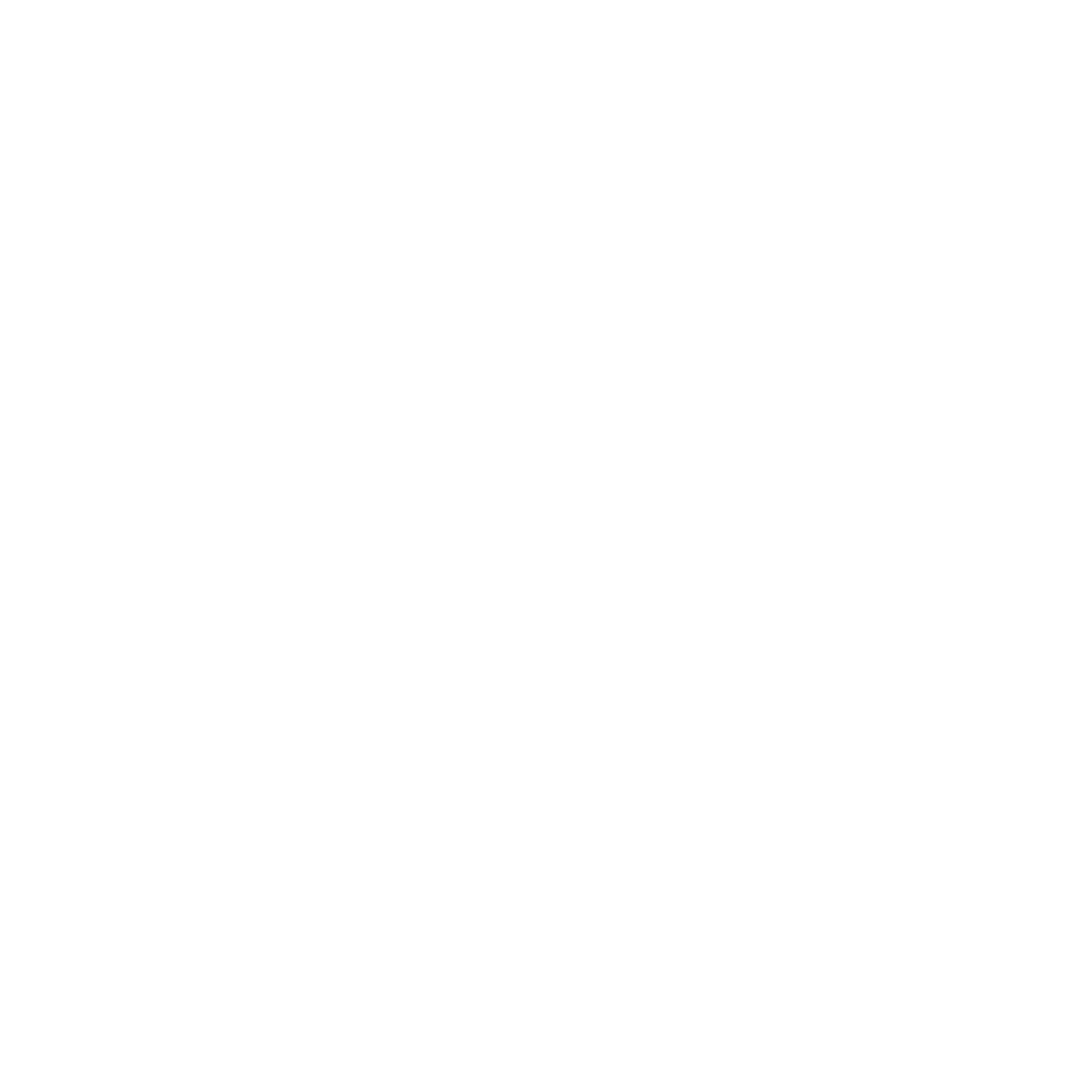 logo blanc de l'entreprise sanef
