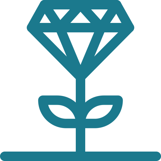 icone représentant l'excellence